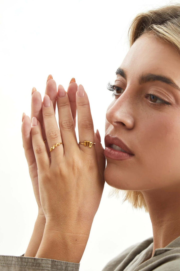 aillo horoscopos ajustables acuario virgo